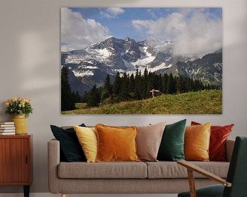 ALPEN 1 by Miroslav Ptacek