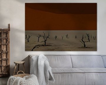 DOODVLEI 2 van Miroslav Ptacek