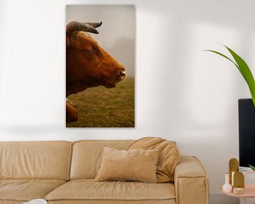 Mysterieus Fanal Forest met Mist en Koeien