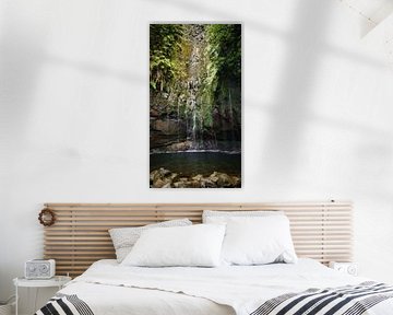 Bossen en Watervallen bij 25 Fontes