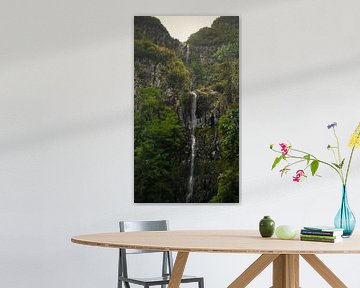 Bossen en Watervallen bij 25 Fontes