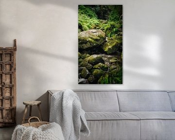 Green jungle in Madeira by Chris Snoek