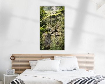 Green jungle in Madeira by Chris Snoek