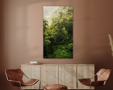 Green jungle in Madeira by Chris Snoek