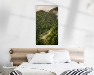 Green jungle in Madeira by Chris Snoek