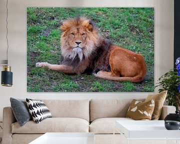 Abstrakter Löwe in Ruhe - Kraft und Gelassenheit in Wasserpixel-Kunst