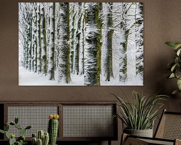 Winter landschap van Erwin Maassen van den Brink