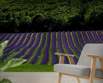 PROVENCE 2 van Miroslav Ptacek