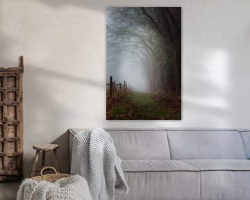 Foggy forest path past trees and fence near Orvelte by KB Design & Photography (Karen Brouwer)