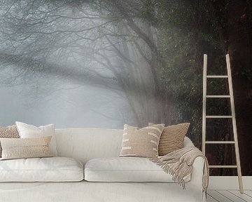 Mistig bospad langs bomen en hek bij Orvelte