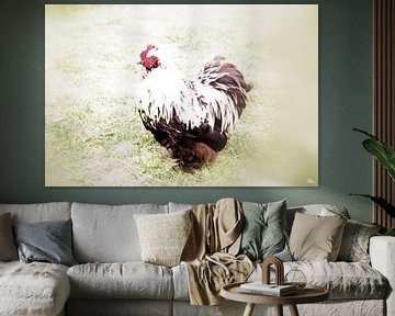 Outdoor Living by Sophia Roelse