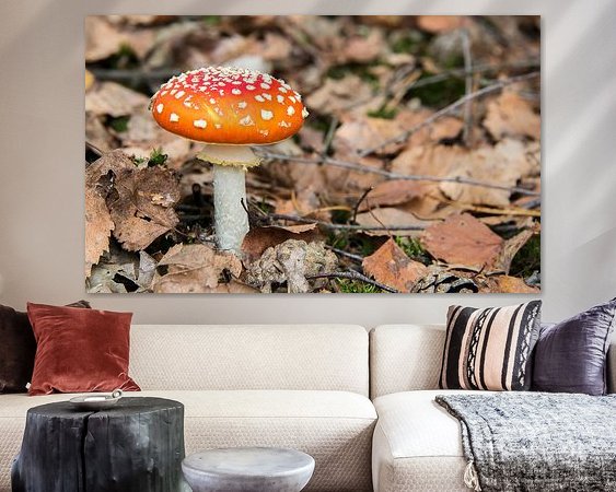 Aperçu de la chambre