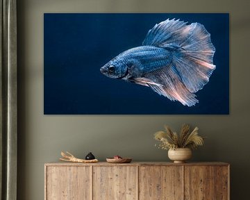 Siamese vechtvis met vloeiende vinnen van Transmutation Art