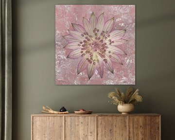 Sanfter rosa Frieden: Zeeland-Knoten als Wanddekoration in einem rosa Quadrat von Marjolijn van den Berg