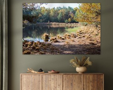 nature area gilderhauser venn by ChrisWillemsen