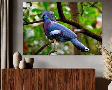 Blauwe vogel in de Busch van Paul de Kok