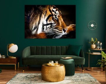 Kop van een Tijger van Paul de Kok