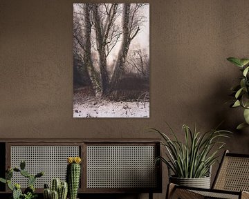 Wolfhezerheide part 159 by Tania Perneel