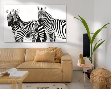 Zebra Familie von Roland Smeets