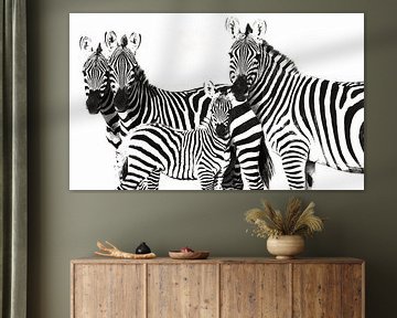 Zebra Familie van Roland Smeets