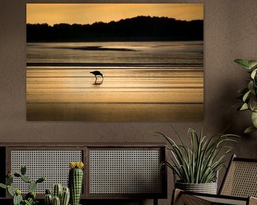 Côte d'or sur Rob van der Wal