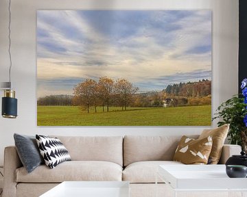 Autumn landscape with Hofgut Dauenberg near Eigeltingen in Hegau
