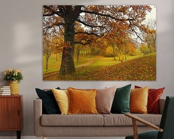 Autumn landscape with old oak tree near Homberg-Eigeltingen in Hegau by BlattArt - Christine Horn