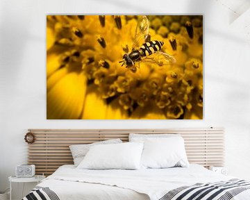 Jaune et noir sur Rob van der Wal