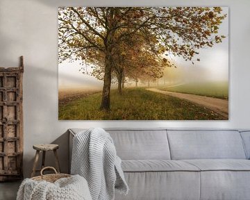 Erables d'automne dans le brouillard près d'Eigeltingen-Homberg dans le Hegau sur BlattArt - Christine Horn