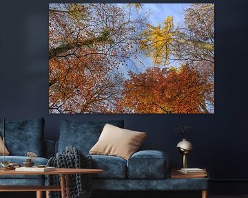 Coiffes d'arbres aux couleurs automnales avec un ciel bleu un jour d'automne sur BlattArt - Christine Horn