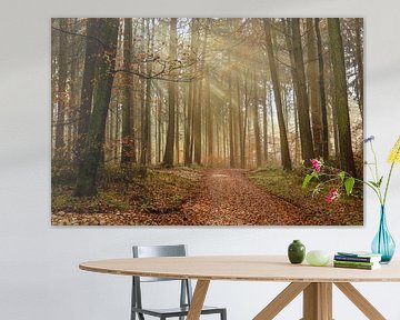 Chemin forestier avec brouillard et rayons de soleil un jour de novembre près de Stockach sur BlattArt - Christine Horn
