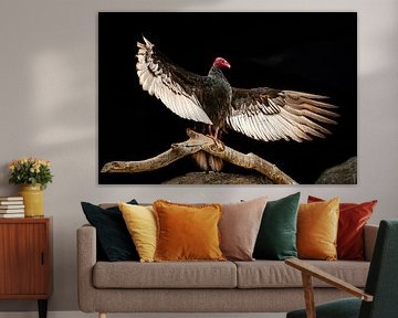 Majestueuze Gier met Gespreide Vleugels tegen Zwarte Achtergrond van Paul de Kok