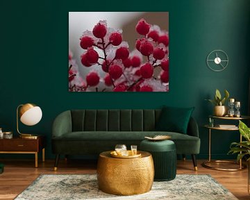 Baies et neige sur Monique Verlouw