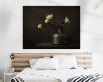 Modern still life with white magnolia