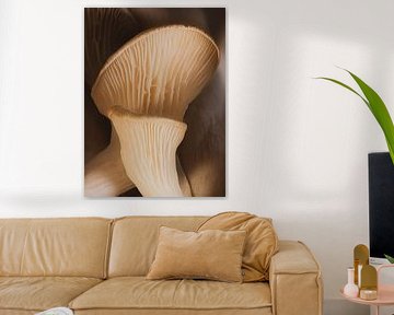 Pilze - Organic Flow – Sanfte Lamellen von Max Steinwald