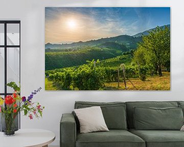 Paysage des collines du Prosecco, vignobles et arbres au coucher du soleil sur Stefano Orazzini