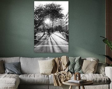 Black-and-white photograph of Cortile's courtyard garden, with backlighting and long shadows and one child playing by Streets of Maastricht