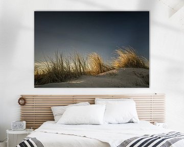 Dünengras I von Axel Ellerhorst