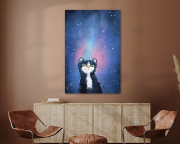 Katze betrachtet die Sterne