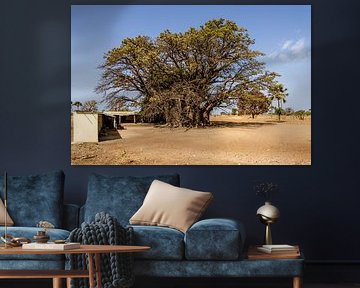 Senegal; Der Wächter der Zeitalter: Der heilige Baobab von Nianing von Dirk Lahuis