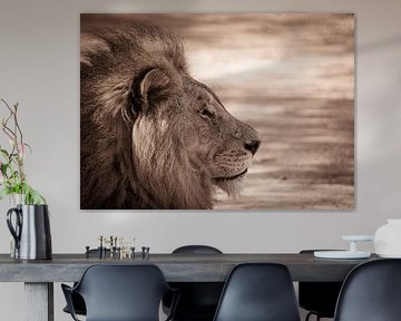 Senegal; Bandia; Der ruhende Löwe von Dirk Lahuis