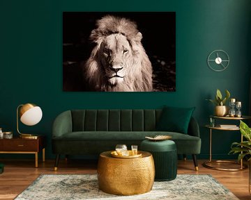 Senegal; Bandia; Der Löwe, der Spiegel der Seele von Dirk Lahuis