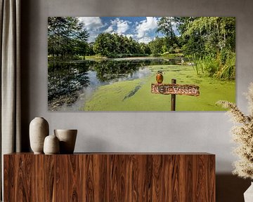 Ondeugende ijsvogel op bordje 'niet vissen'.