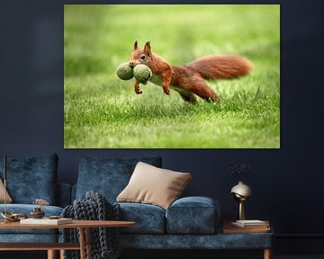 Springendes Eichhörnchen mit zwei Kastanien im Maul. von Frans Lemmens