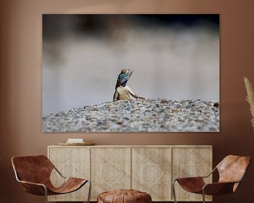 Eidechse von Gerard Smit