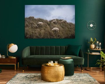 Habitants silencieux des dunes sur Beeldspraak