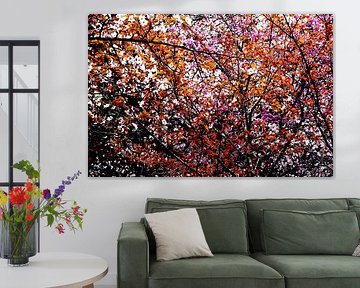 PRINTEMPS AU JAPON 3