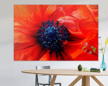 BLOEMENDROMEN 1 van Miroslav Ptacek