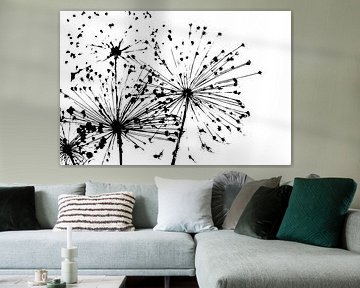 Allium photographie abstraite