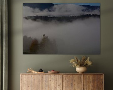 BAVARIAN FOREST 2 by Miroslav Ptacek